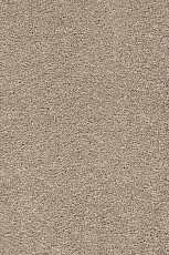 Ковролин AW Vivendi Punch 34 фото 1 | FLOORDEALER